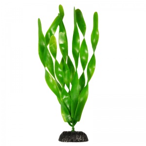 Пластиковое растение Plant 005 - Валиснерия широколистная, 30 см