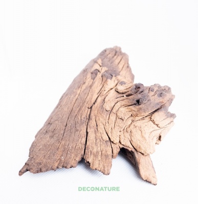 DECO NATURE MOPANE WOOD - Натуральная коряга африканского дерева мопани от 10 до 14 см