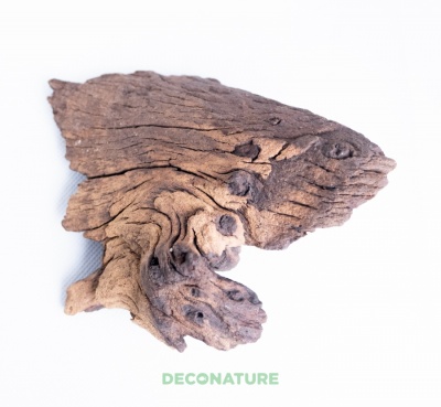 DECO NATURE MOPANE WOOD - Натуральная коряга африканского дерева мопани от 10 до 14 см